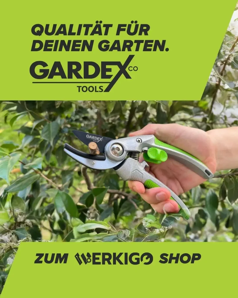 Social Media Posting für Werkigo Onlineshop